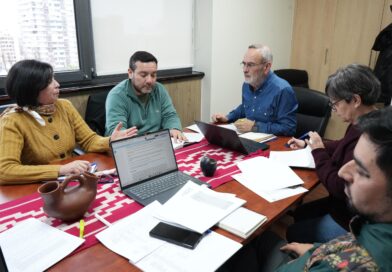 Emergencia en La Araucanía: Gobierno Regional busca destinar más de $11 mil millones a las 32 comunas