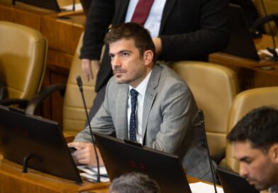 Montalva alerta por escasez y alza del pellet y pide investigar eventuales problemas de competencia
