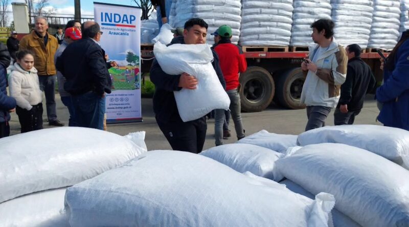 La Araucanía: Gobierno entrega apoyo a familias y agricultores afectados por las lluvias