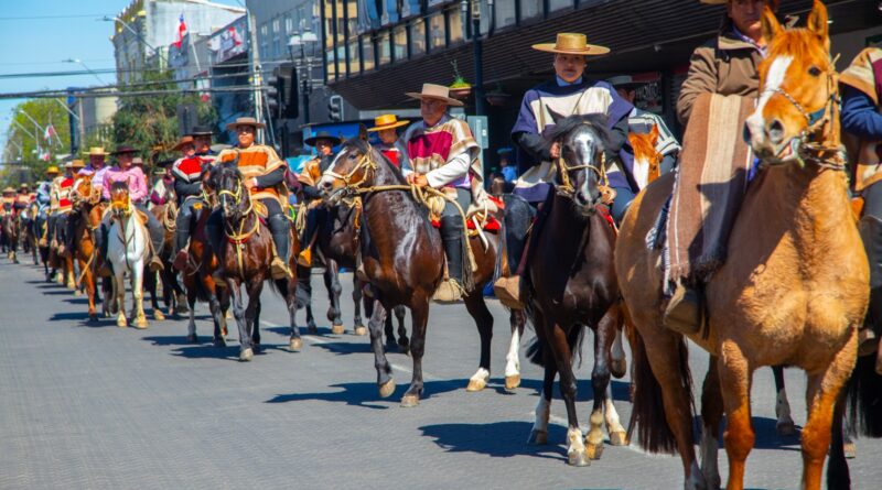 Con gran cantidad de público, Temuco celebró con un ejemplar desfile de Fiestas Patrias