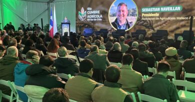 Cumbre Agrícola del Sur reúne a más de 500 personas en Victoria en su primera edición en Malleco