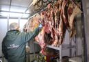 ¡Más de 500 fiscalizaciones! Refuerzan controles a la carne en La Araucanía antes de Fiestas Patrias