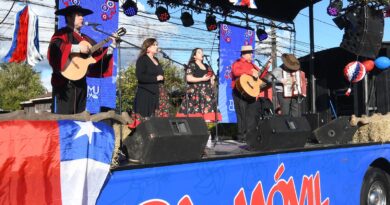 ¿Te atreves con una paya? Temuco busca 150 creaciones para celebrar sus 150 años