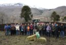 Histórica siembra en Ranquil: Lonquimay da el vamos al proyecto de praderas de alfalfa