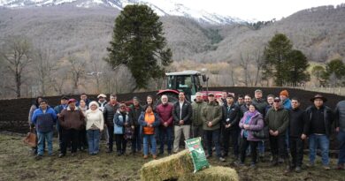 Histórica siembra en Ranquil: Lonquimay da el vamos al proyecto de praderas de alfalfa