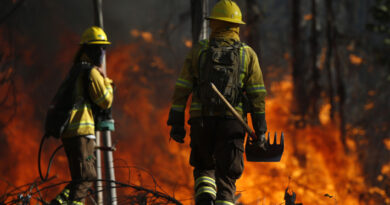 Oportunidad laboral: Conaf busca brigadistas forestales y realizará reclutamiento en Cholchol