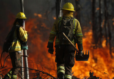Oportunidad laboral: Conaf busca brigadistas forestales y realizará reclutamiento en Cholchol