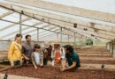Internacional: Costa Rica invita a descubrir el origen del chocolate entre selvas, cacao y tradiciones ancestrales