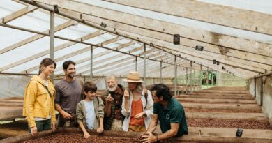 Internacional: Costa Rica invita a descubrir el origen del chocolate entre selvas, cacao y tradiciones ancestrales