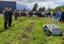 Agricultoras de Freire suman un robot para cuidar sus frambuesas