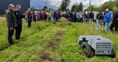 Agricultoras de Freire suman un robot para cuidar sus frambuesas
