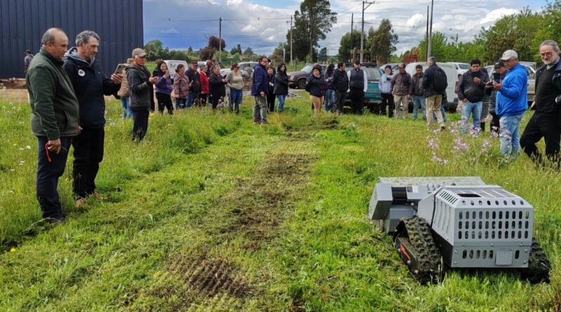 Agricultoras de Freire suman un robot para cuidar sus frambuesas