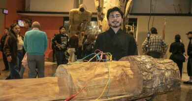 Artista de Araucanía presentará su obra en importante exhibición de la capital