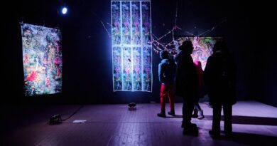 Festival Reino Fungi y Pucón Creativo convocan a trabajadores culturales a capacitarse sin costo