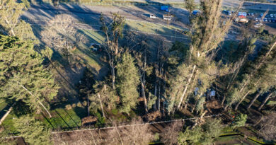 Subdere entrega más de $173 millones para recuperar el Parque Isabel Riquelme de Lautaro