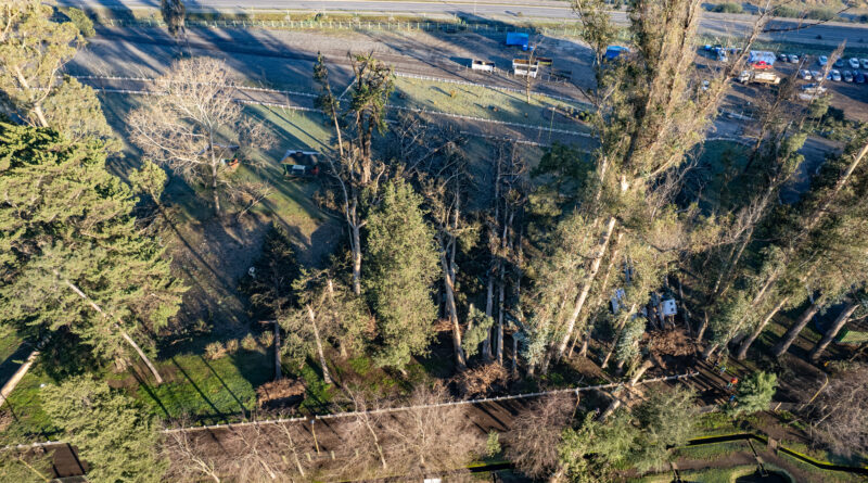Subdere entrega más de $173 millones para recuperar el Parque Isabel Riquelme de Lautaro
