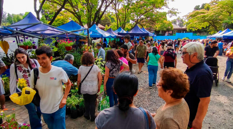 Vuelve la Expo Flores a Temuco: más de 95 stands y entrada gratuita