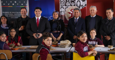 Patrimonio en las aulas: Cultura y Educación lanzan convocatoria inédita para reconocer experiencias educativas en La Araucanía