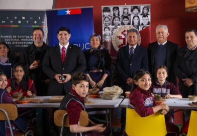 Patrimonio en las aulas: Cultura y Educación lanzan convocatoria inédita para reconocer experiencias educativas en La Araucanía