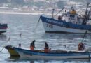 Cambio climático y El Niño marcan la evaluación científica de los pequeños pelágicos