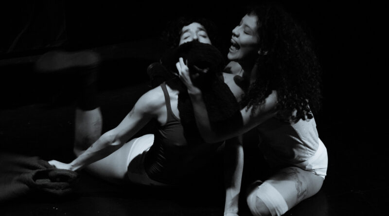 Carpa Teatro Trashumantes presenta obra de danza inspirada en el terror y la fantasía