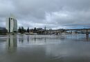 UACh y municipios lanzaron “Cultiva Resiliencia”, app gratuita para enfrentar desastres en Los Ríos